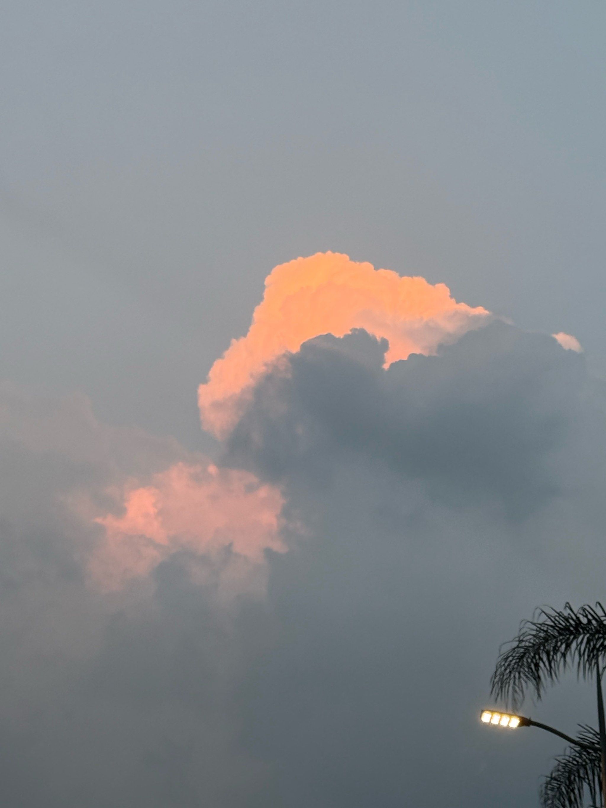 拿着云朵散步去