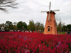 -顺峰山公园