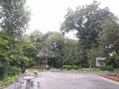 -柳侯公园