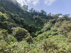-海口火山口国家地质公园