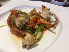 -欢乐海岸美食联盟