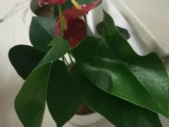 -佰推·肩颈腰·推拿理疗(湾悦城店)