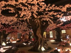 -蓝鲸湾汤泉(包河店)