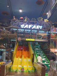-卡通尼·Safari非洲探索乐园·生日会(金桥国际商业广场店)