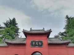 -洛阳白马寺