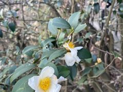 -玻璃桥景区石牛寨