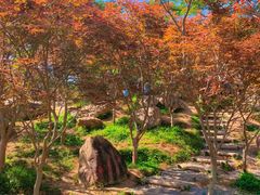 -广州市帽峰山景区