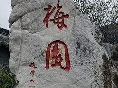 -梅园