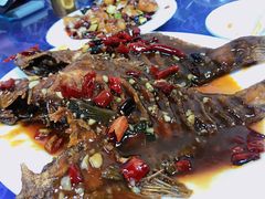 干烧鱼-林之六八·6886大连老菜馆