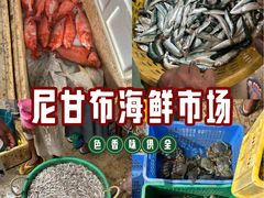 -尼甘布海鲜市场