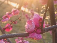 -大宁灵石公园西门票处