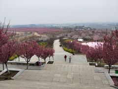 -古柏渡飞黄旅游区