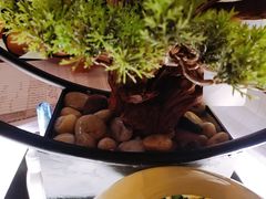 -蓝鲸湾汤泉(包河店)