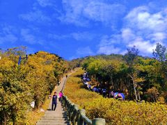 -梧桐山风景名胜区