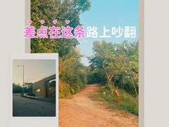 -石排湾郊野公园