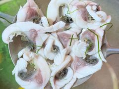 -鱼醉无骨鱼·中山脆肉鲩(荔湾路店)