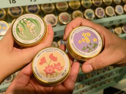 -青稚护手霜QINGZHI