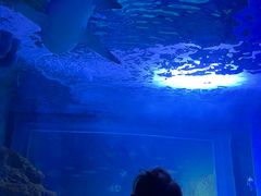-常州海昌海洋探索馆