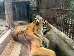 -海南热带野生动植物园
