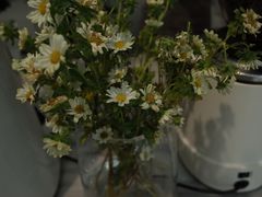 -收获咖啡HARVEST RESERVE(苍山店)