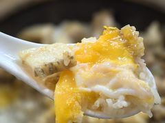 -红星光发煲仔饭(大石街店)