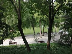 -团结湖公园
