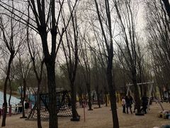 -西部长青自然儿童乐园