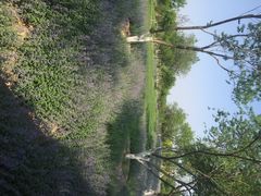 iphone_upload_pic-永定河休闲森林公园