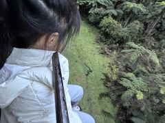 -普芬比利蒸汽火车