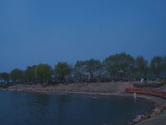 -丁香湖公园
