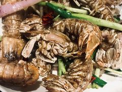虾菇-虾弄弄海派小龙虾·牛羊蝎子火锅