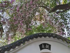 -深圳国际园林花卉博览园