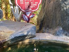 -大理地热国