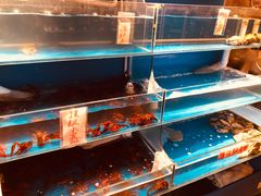水产区-威海小海鲜大排档胖哥烧烤(双井店)