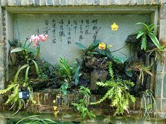 -东莞植物园