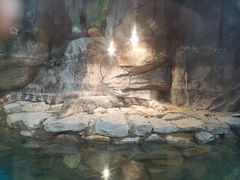 -石家庄海洋公园