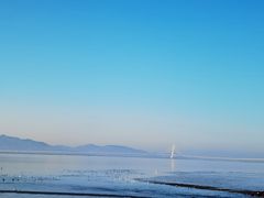 -深圳湾公园(南山区)