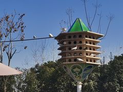 -南昌之星摩天轮