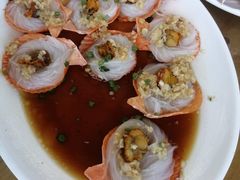 -七鲜渔港美食餐厅(巽寮湾海景店)
