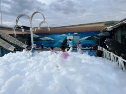 -小蜜蜂农场(凯德七宝购物广场店)