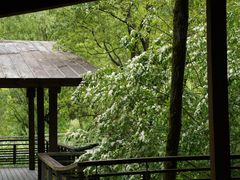 -西湖风景区-江洋畈生态公园