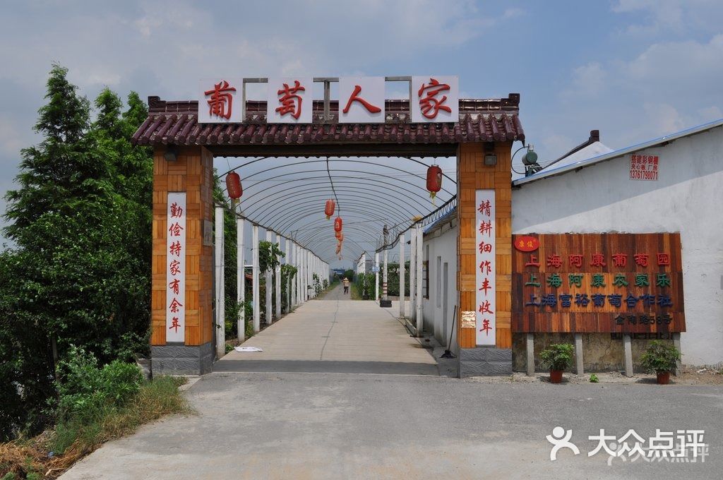马陆葡萄阿康农家乐