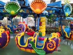 -南宫五洲植物乐园