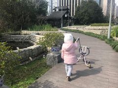 -活水公园
