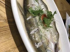-新梅华(太仓万达店)