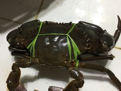 -海盗餐厅