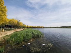 -永定河休闲森林公园