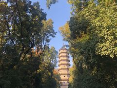 -灵谷景区