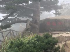 -罗田薄刀峰风景区