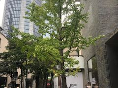 -徐家汇源景区-衡山坊